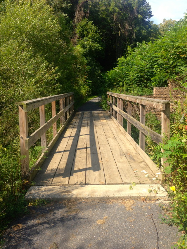 Bridge to Clarity