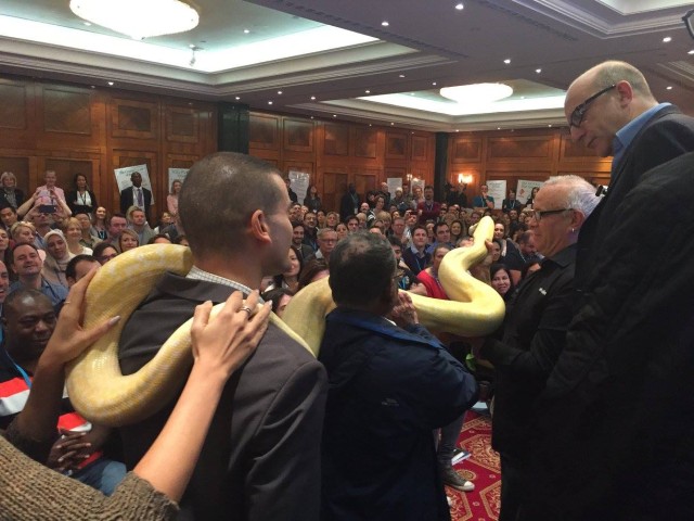 giant-snake